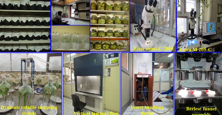 Instrument facilities in Entomology laboratory