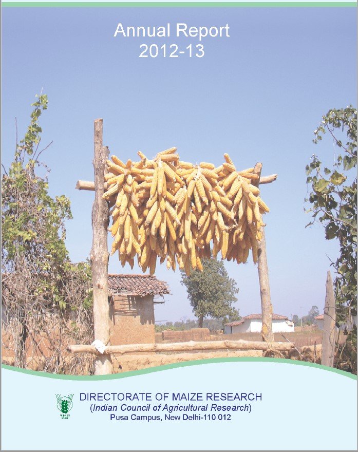 Annual Report 2012-13