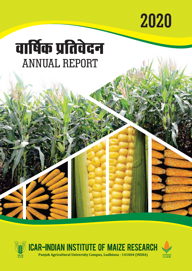 Annual Report 2020