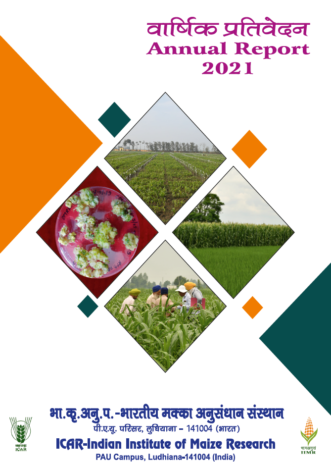 Annual Report 2021