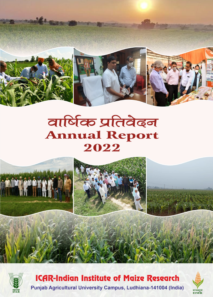 Annual Report 2022