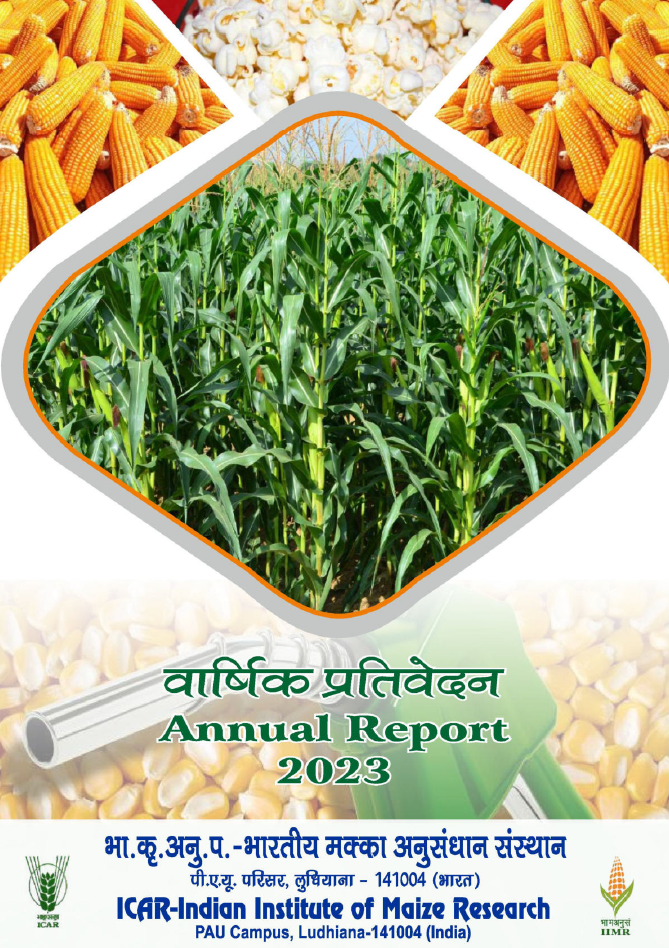 Annual Report 2023