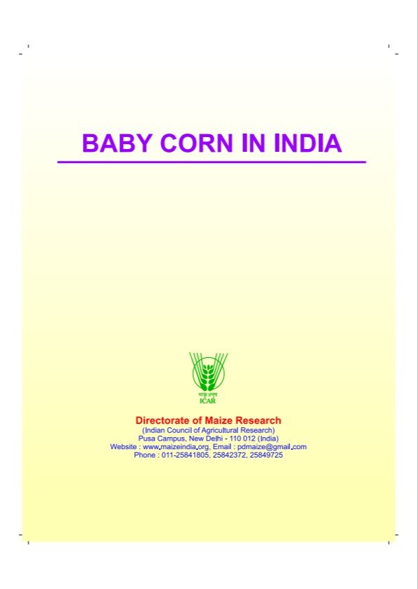 Baby Corn in India