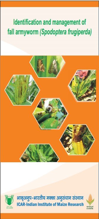 Fall Armyworm Identification and Management (English)