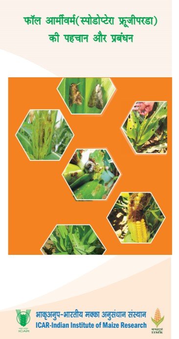 Fall Armyworm Identification and Management (Hindi)