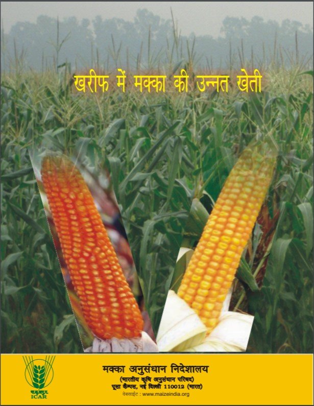 खरीफ में मक्का की उन्नत खेती