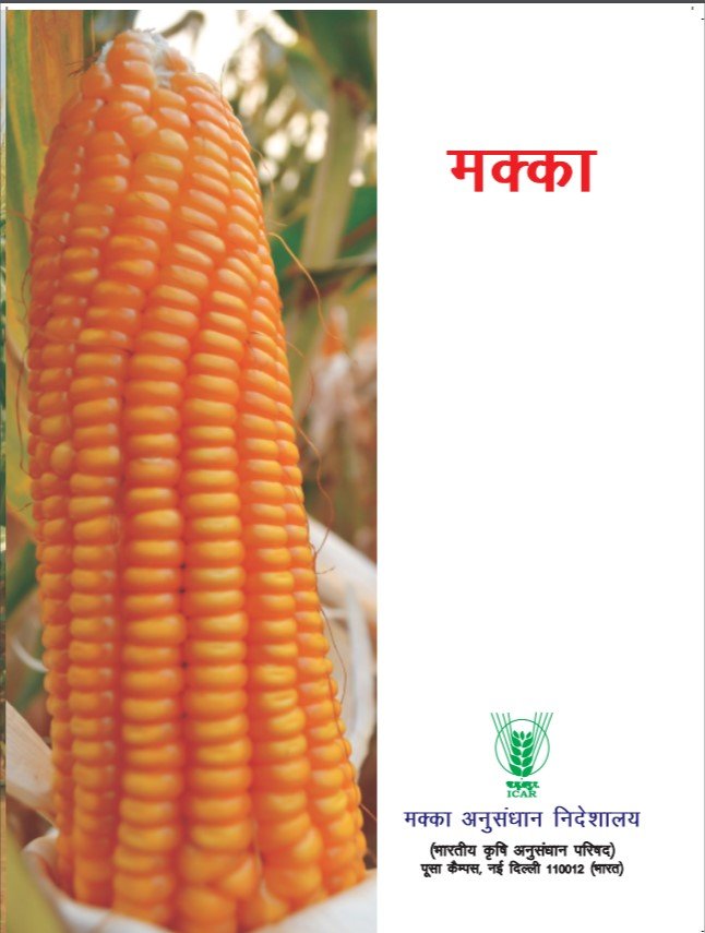 मक्का