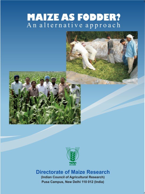 Maize as Fodder