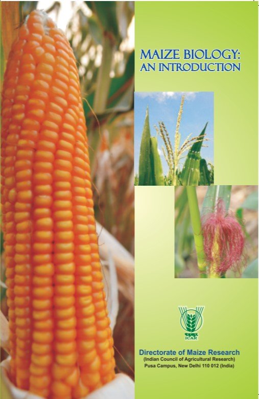 Maize Biology: An Introduction