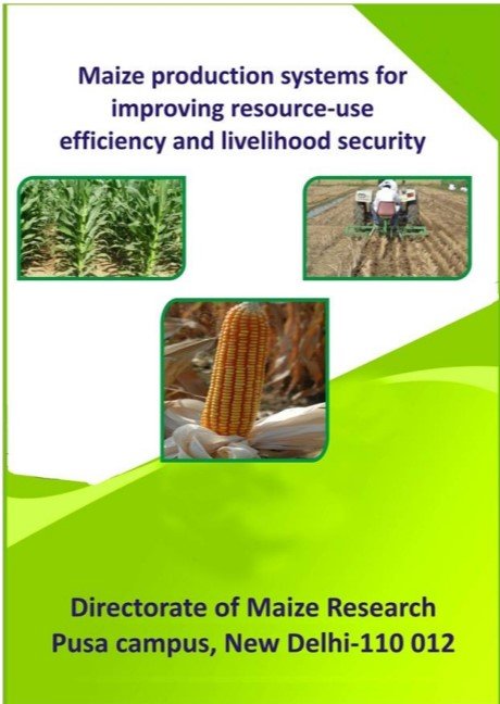 Maize Production System