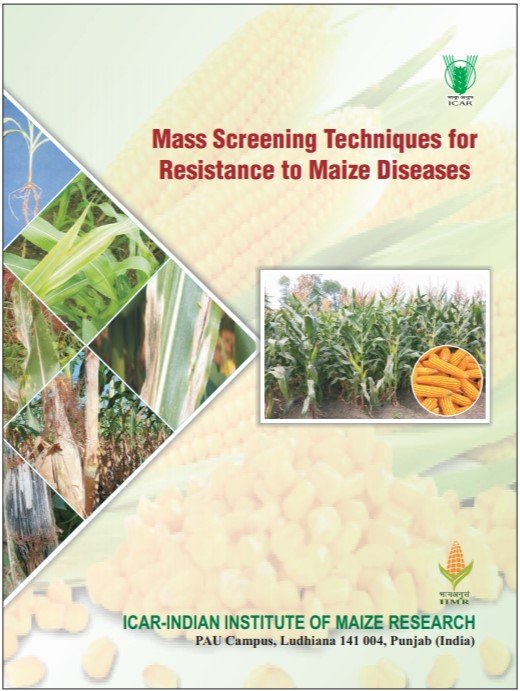 Mass Screening Techniques for Resistance to Maize Diseases