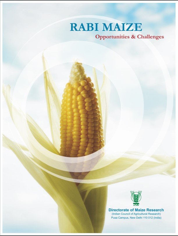 Rabi Maize – Opportunities and Challenges