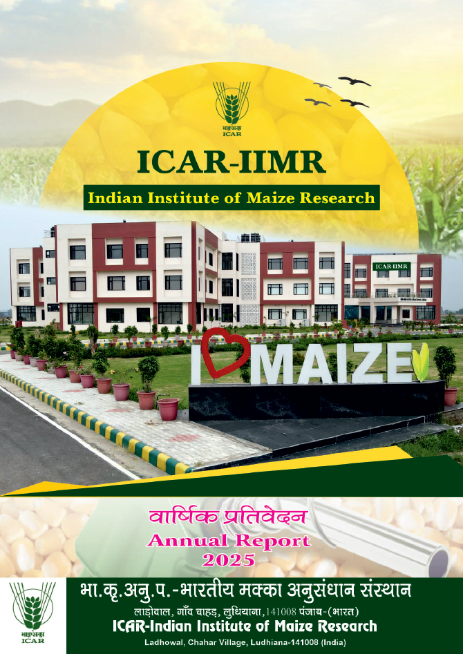 Annual Report 2025